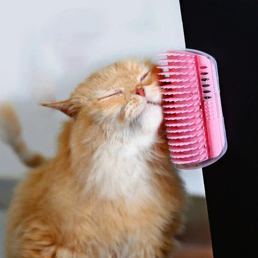 Brosse pour chats